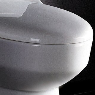 TB108M Contemporary Toilet