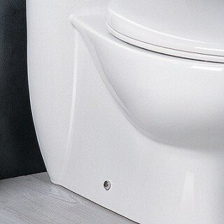 TB309-1M Dual-Flush Toilet