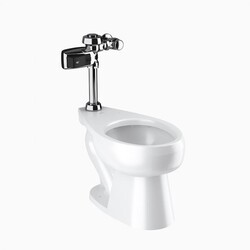SLOAN 20001403 WETS2000.1403 ST-2009 WATER CLOSET AND ROYAL 111 SMOOTH FLUSHOMETER