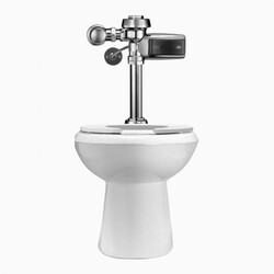 SLOAN 20201302 WETS2020.1302 ST-2029 WATER CLOSET AND ROYAL 111 SMOOTH FLUSHOMETER