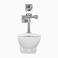 SLOAN 24501301 WETS2450.1301 ST-2459 WATER CLOSET AND ROYAL 111 ESS FLUSHOMETER