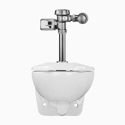 SLOAN 24501402 WETS2450.1402 ST-2459 WATER CLOSET AND ROYAL 111 SMO FLUSHOMETER