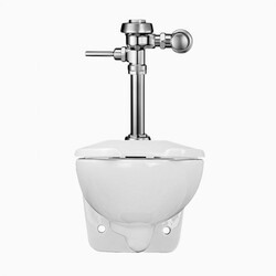 SLOAN 24521002 WETS2452.1002 ST-2459 WATER CLOSET AND WES 111 FLUSHOMETER