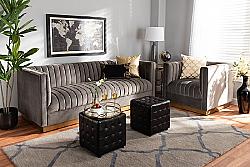 BAXTON STUDIO TSF-BAX66113 AVELINE GLAM AND LUXE VELVET FABRIC UPHOLSTERED TWO PIECE LIVING ROOM SET