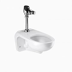 SLOAN 24501201T ST-2459 WATER CLOSET AND SOLIS 8111 FLUSHOMETER