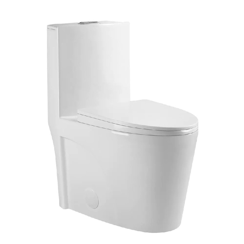 CLOVIS GOODS 21S0901 27 1/8 INCH DUAL FLUSH ELONGATED TOILET WITH SEAT