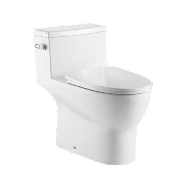 RATEL T1013 28 1/2 INCH ONE-PIECE OVAL TOILET WITH SOFT CLOSING SEAT AND DUAL FLUSH SIDE BUTTON - WHITE GLOSS
