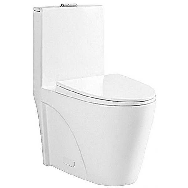 RATEL T11021 26 5/8 INCH ONE PIECE OVAL TOILET WITH SOFT CLOSING SEAT AND DUAL FLUSH - WHITE GLOSS