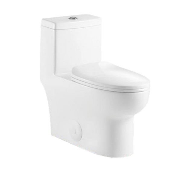 RATEL T7062 28 1/2 INCH ONE-PIECE OVAL TOILET WITH SOFT CLOSING SEAT AND DUAL FLUSH - WHITE GLOSS