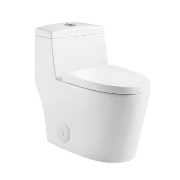 RATEL T8102 28 1/2 INCH ONE-PIECE OVAL TOILET WITH SOFT CLOSING SEAT AND DUAL FLUSH - WHITE GLOSS