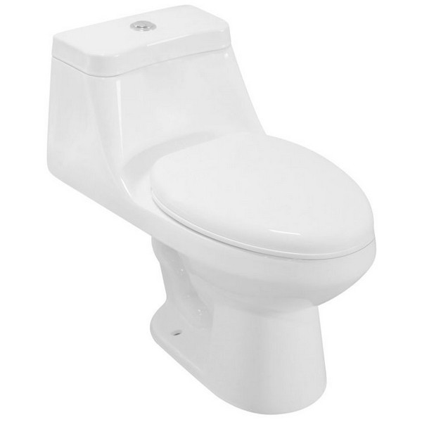 RATEL T82221B 30 1/4 INCH ONE PIECE OVAL TOILET WITH SOFT CLOSING SEAT AND DUAL FLUSH - WHITE GLOSS FINISH