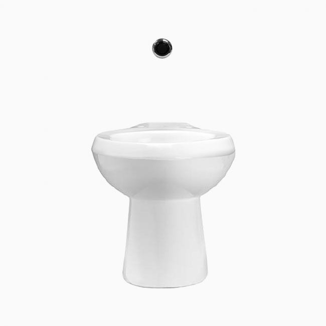 SLOAN 20301030 WETS2030.1030 ST-2030 WATER CLOSET AND ROYAL 940 FLUSHOMETER