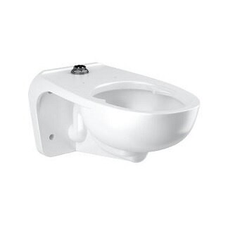 SLOAN 24501430 WETS2450.1430 WETS-2450.1430 VITREOUS CHINA WALL MOUNT TOILET WITH ECOS 115-1.28 FLUSHOMETER