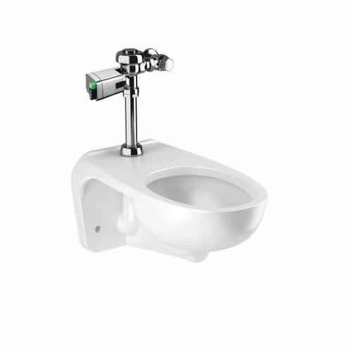 SLOAN 24521410 WETS2452.1410 ST-2459 WATER CLOSET AND ECOS 111 FLUSHOMETER