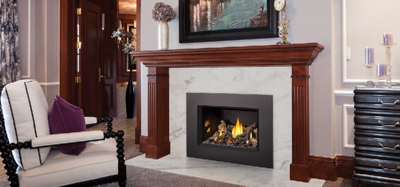 NAPOLEON GDIX3N OAKVILLE 28 5/8 INCH BUILD-IN GAS FIREPLACE INSERT - BLACK