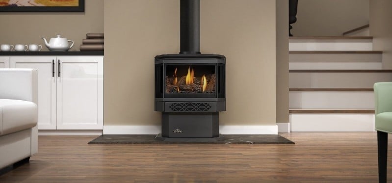 NAPOLEON GDS28-1NSB HALIBURTON 22 1/2 INCH FREE-STANDING MILLIVOLT IGNITION GAS STOVE - BLACK