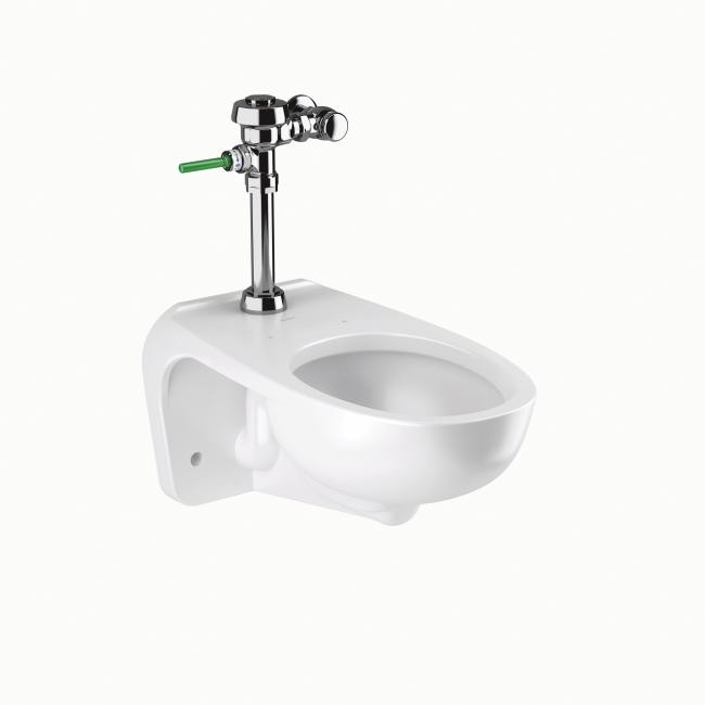 SLOAN 24521003 ST-2429 WATER CLOSET AND WES 113 FLUSHOMETER