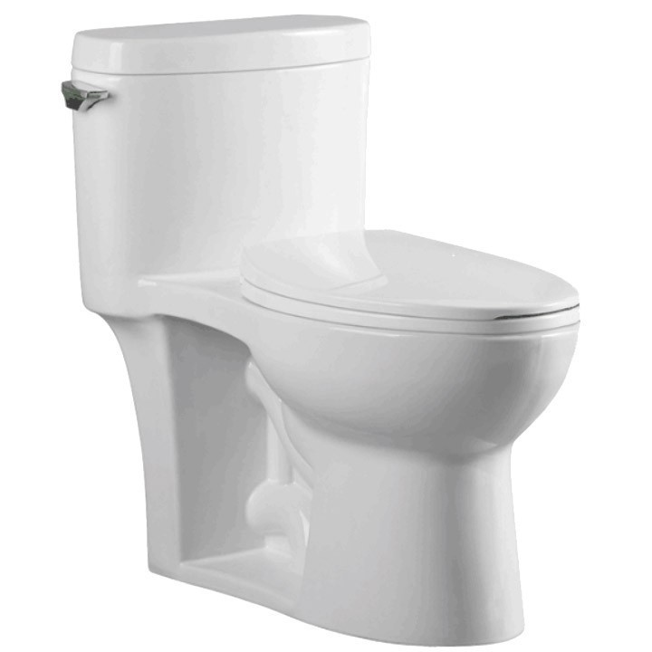 DAKOTA SINKS DSW-1EL35W SIGNATURE 28 7/8 INCH ONE PIECE ELONGATED SINGLE LEVER FLUSH TOILET WITH SOFT CLOSE SEAT, WAX RING AND BOLTS - WHITE